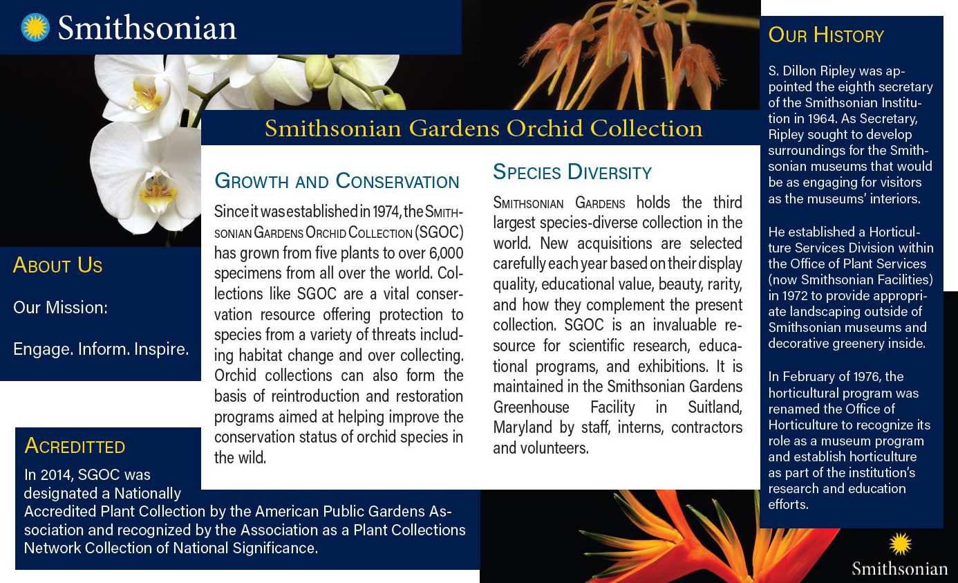 Inner pages of a brochure for Smithsonian Museum's Orchid Collection. Images of orchid flowers and related text articles about the collection.